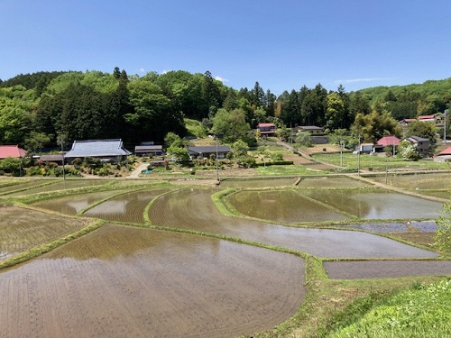 美しい里山の風景