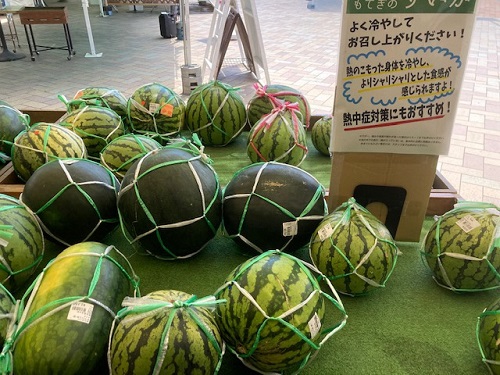 道の駅の野菜直売所に並んだスイカ