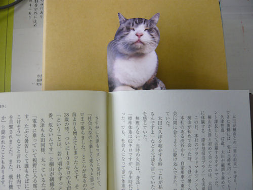 こうして読んでいると、猫の視線を感じる気が･･･