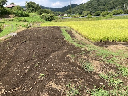 隣の田に土が押し流された