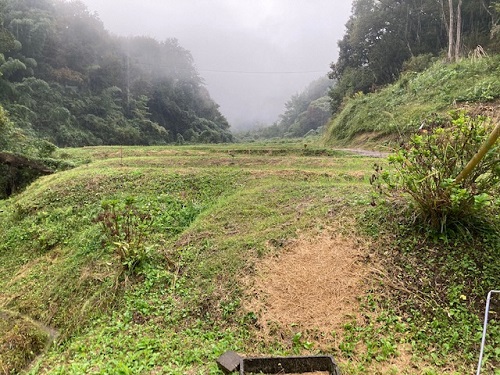 雨の棚田