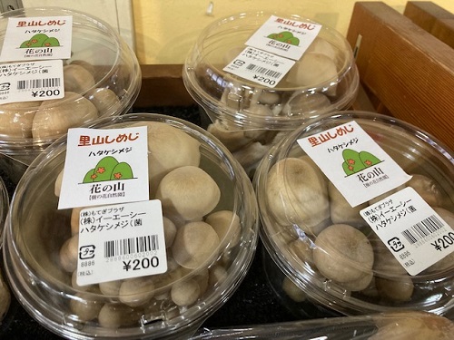 花の山の「里山しめじ」200円は安い