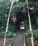 河井八幡宮の社叢