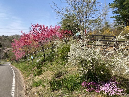 花の山の入り口