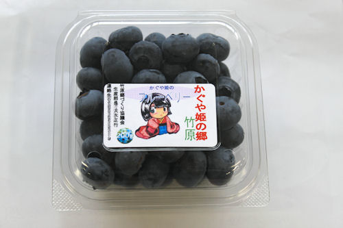 甘くておいしい大粒ブルーベリー