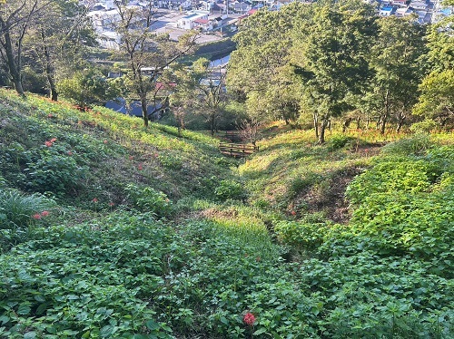 日向はこれから