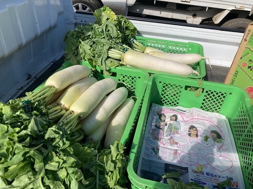 野菜も配られた