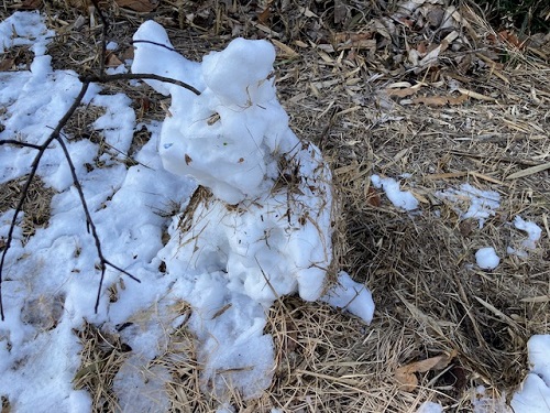 散歩の途中で道端で見つけた雪だるまではなく雪うさぎ