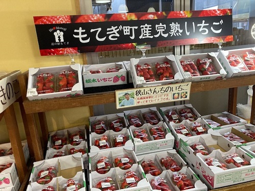 まだまだ美味しい完熟イチゴ