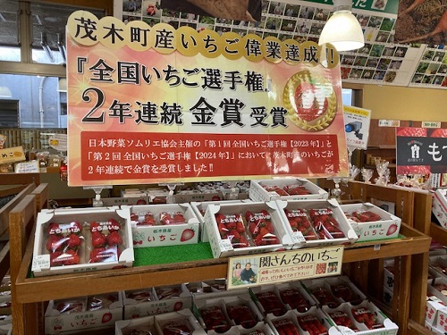 茂木産イチゴの美味しさは証明済み