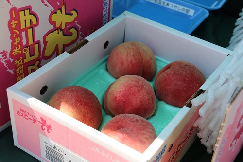 国見町から届けられた桃