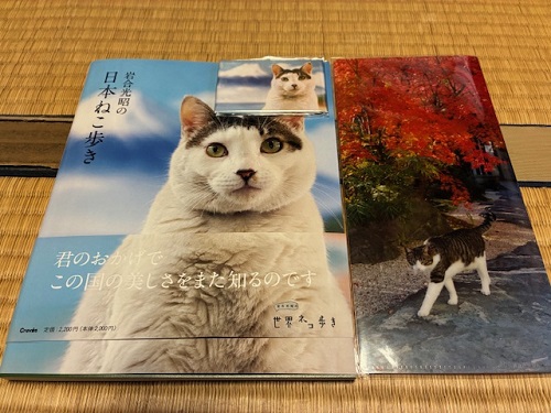 岩合さんグッズ、買いました