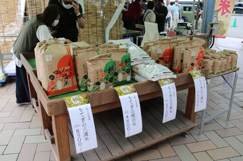 茂木の美味しいお米がずらり