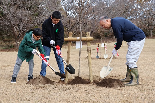 コブクザクラの苗木を植樹