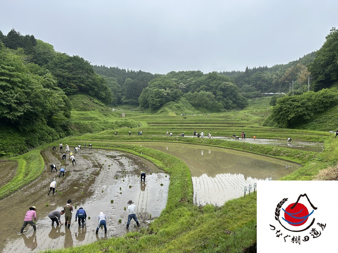 入郷　棚田　つなぐ棚田遺産