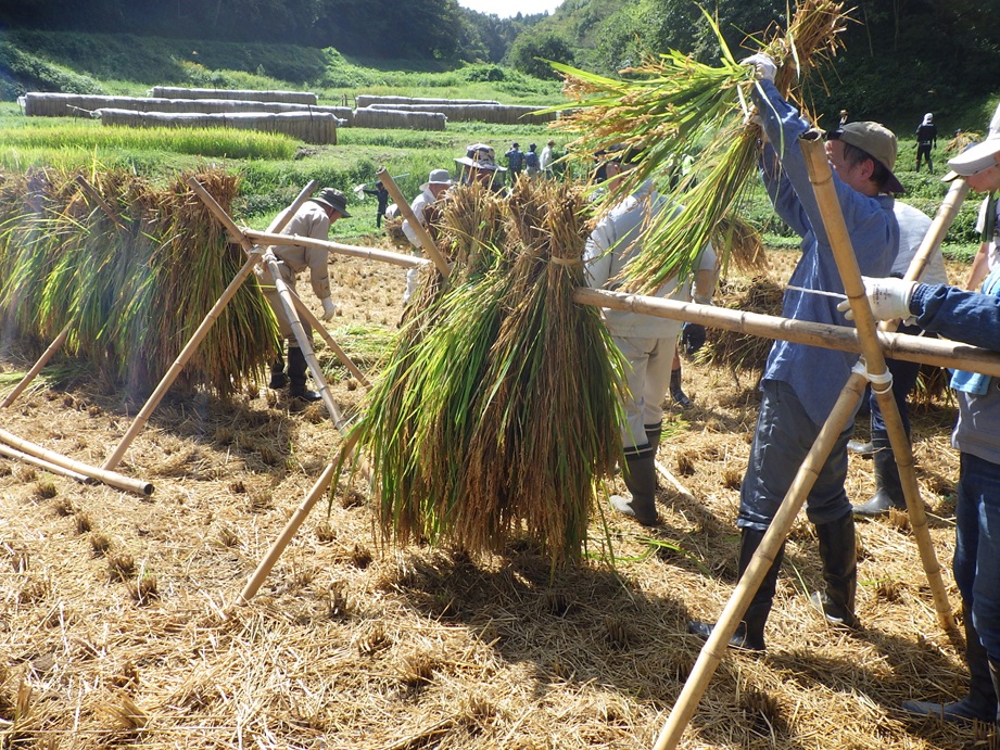 入郷棚田　おだがけ