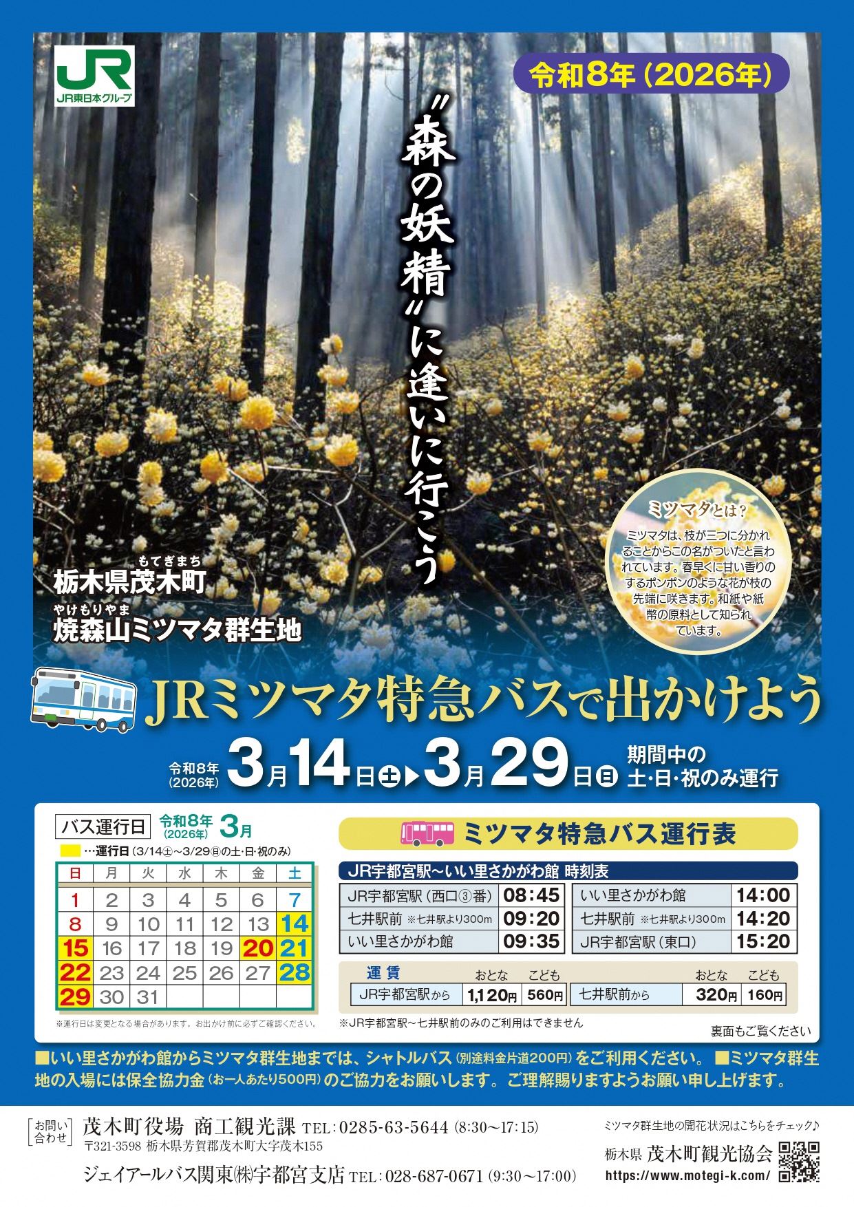 ミツマタチラシ