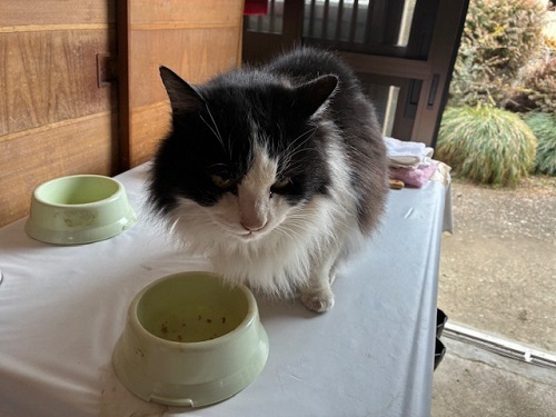 あいも変わらず食欲だけは旺盛