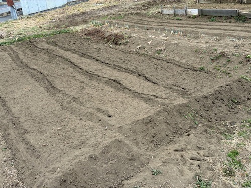 小さな圃場だが、私たちの楽しみの場