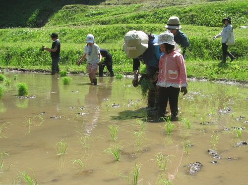 入郷石畑の棚田(入郷地区)
