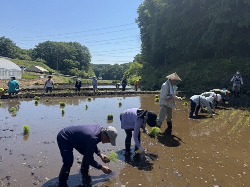 芳賀富士の棚田(天子地区)