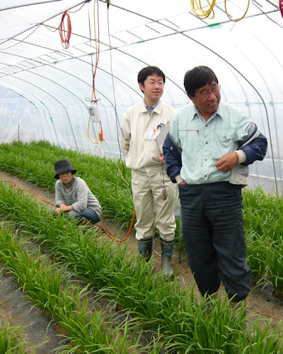 昨年度立ち上がった「ニラ生産部会」