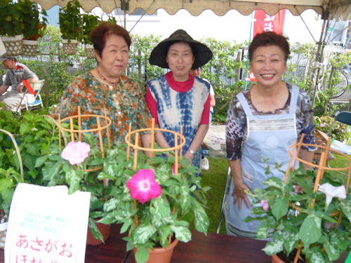 あさがお美人の皆さん