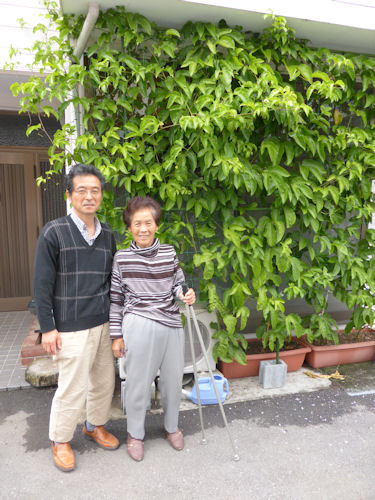 隣のおばちゃんとご長男さんと、謎の日除け植物