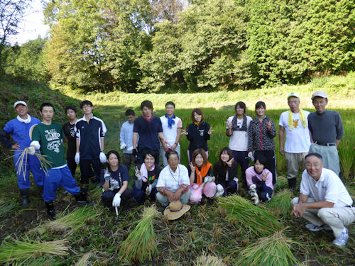 宇都宮大学生の稲刈り