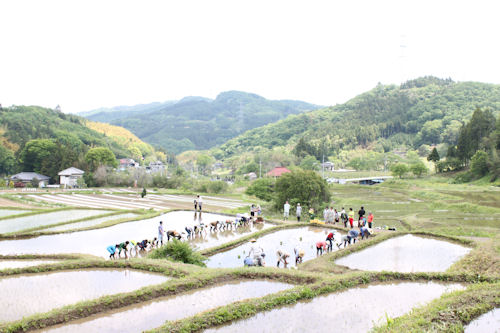 自然豊かな茂木町で、オーナーになりませんか？