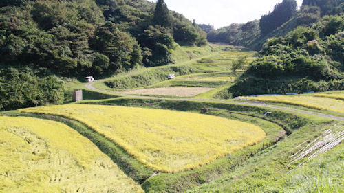 食料供給などを担う中山間地域