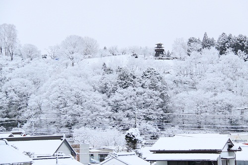 栃木県内にも大きな爪痕を残した大雪