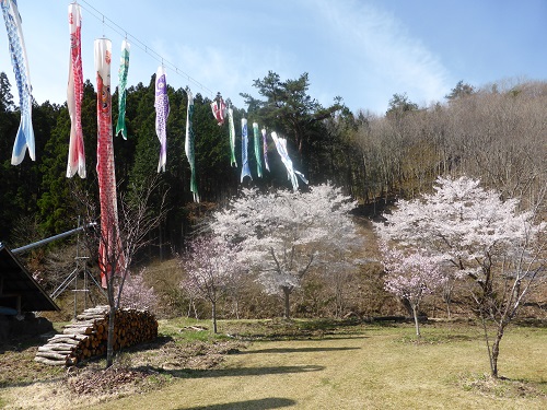 おうめ春まつり会場