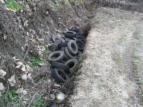 タイヤの不法投棄