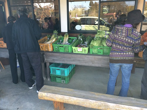 外では地元新鮮野菜の直売も