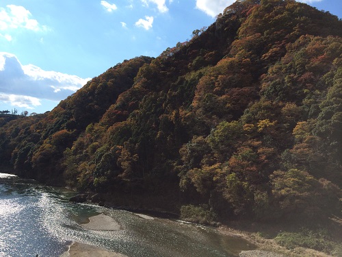 晴れやかな青空に紅葉が映える