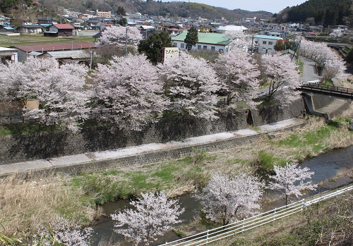 道の駅から大越ビーイクルまでの河川沿い