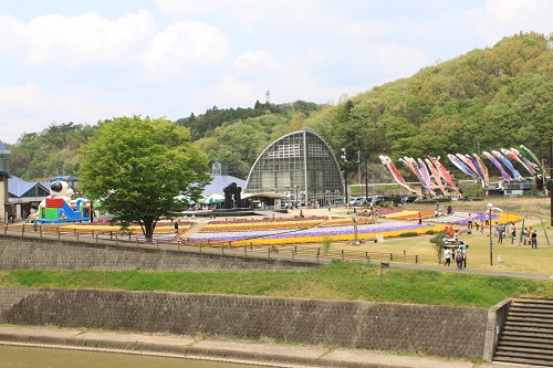 公園も家族連れでにぎわっています！