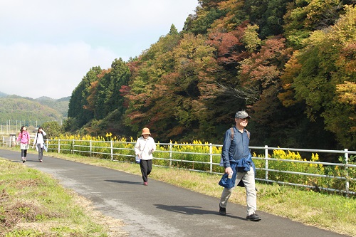 紅葉を見ながらのウォーキングは格別(昨年の様子)