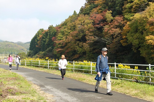 紅葉を見ながらのウォーキングは格別（昨年の様子）