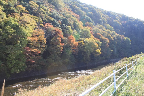 紅葉が美しい里山