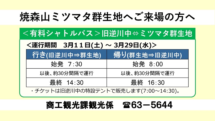 ミツマタ案内①