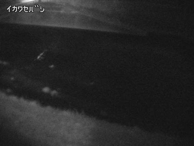 2025年05月01日22時00分の映像