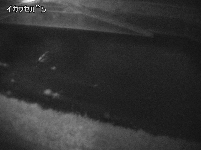 2025年05月02日04時00分の映像