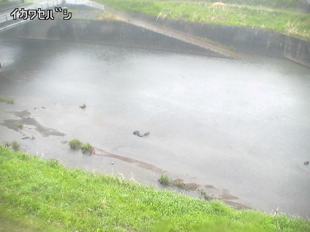 2025年05月02日11時00分の映像