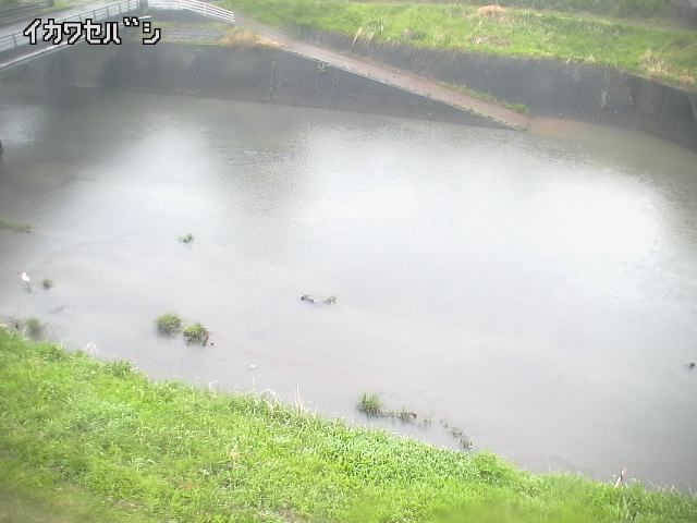 2025年05月02日17時00分の映像