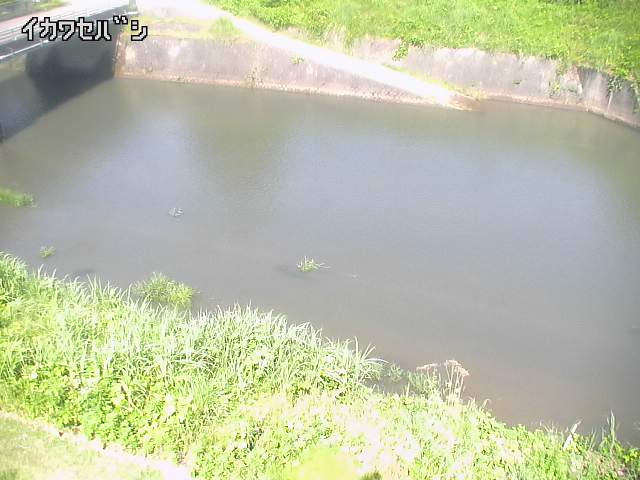2025年06月16日09時00分の映像