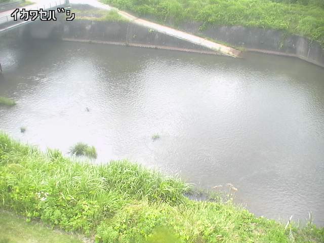 2025年06月16日14時00分の映像