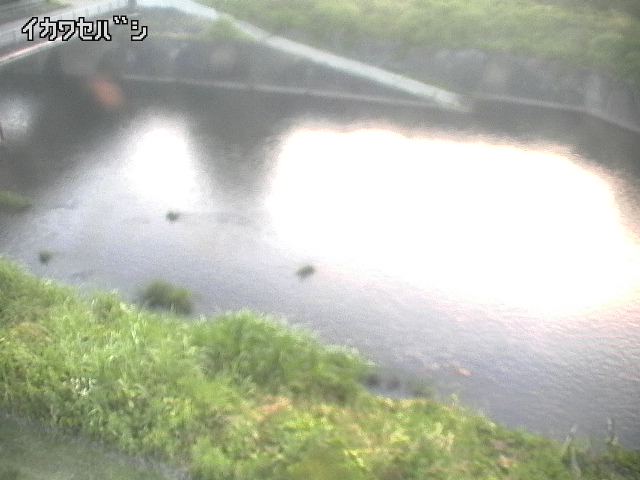 2025年06月16日19時00分の映像