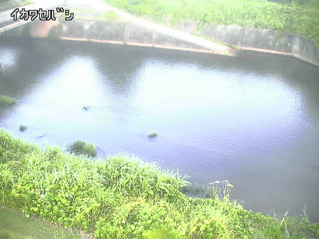 2025年06月17日05時00分の映像